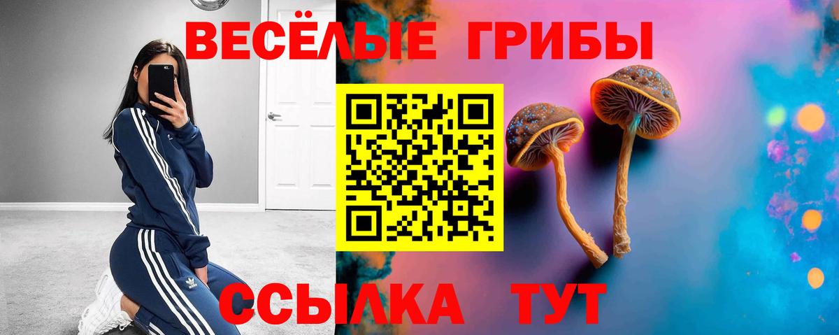 Сегежа  Псилоцибиновые грибы мухоморы  Вход с VPN 